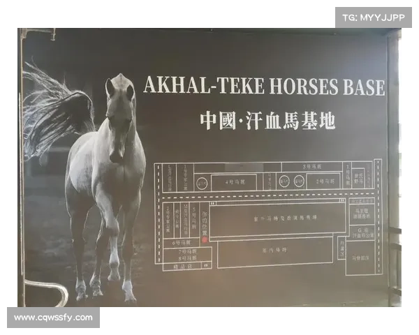 如何科学培养汗血宝马提升其速度与耐力的终极指南