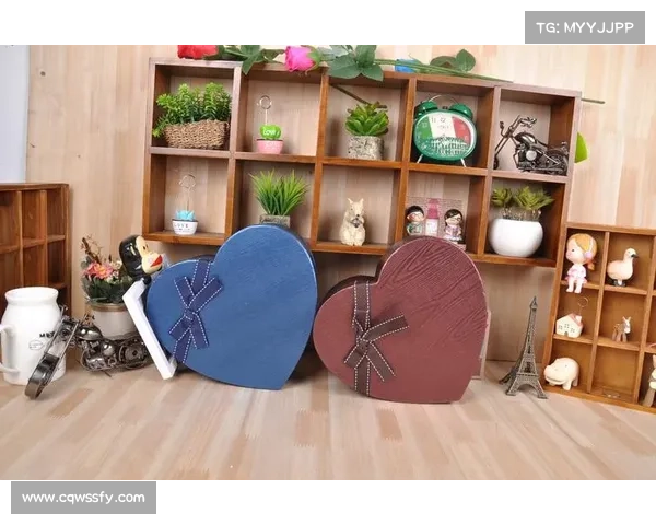 探索心型护匣的独特魅力：融合个性与实用性打造完美收纳体验