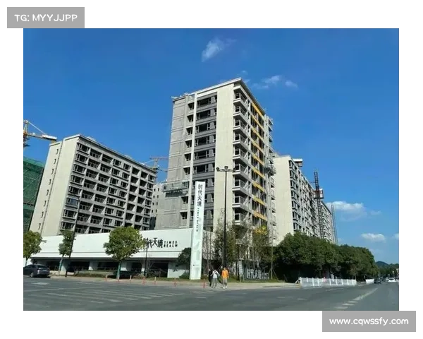 选择朱雀天境的理由与独特优势全面解析让你了解它为何备受青睐