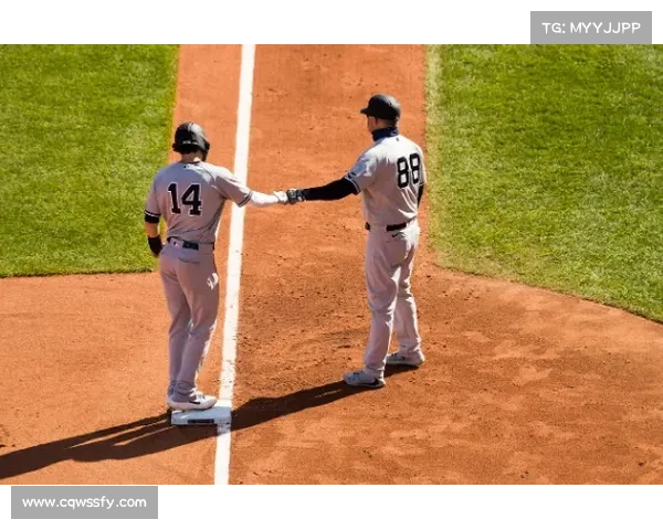 以欧协杯决赛规则详解你需知全攻略深度解析最新赛制指南权威解读